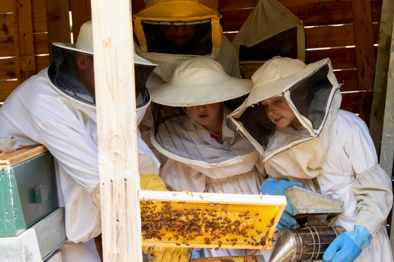 Blog March 2026 Apiaries