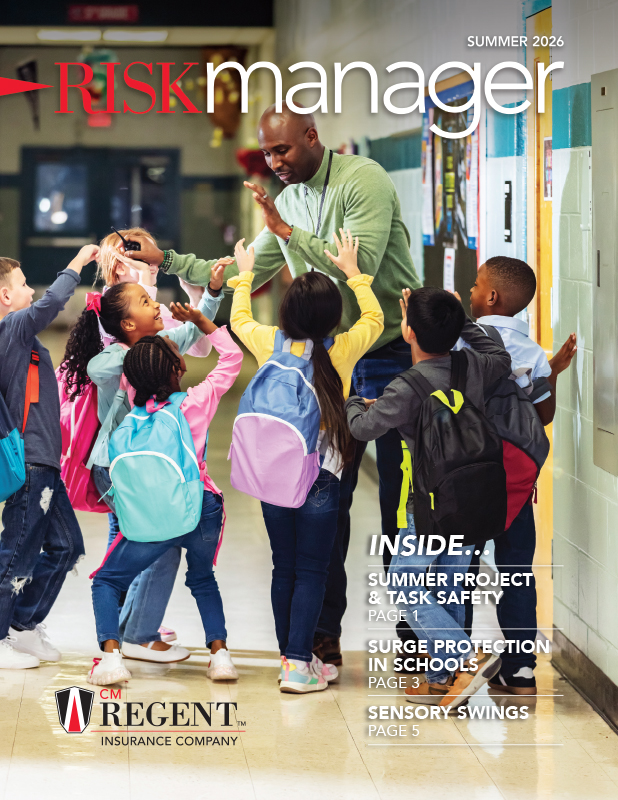 2026 Sumer Risk Manager Cover